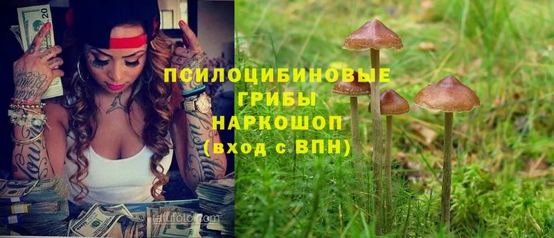 OMG зеркало  где найти   Старая Русса  Галлюциногенные грибы Magic Shrooms 